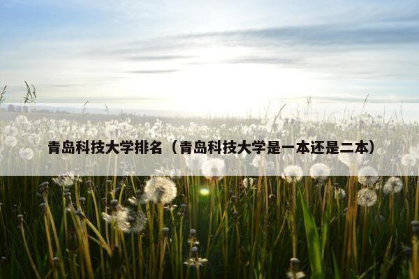 青岛科技大学排名（青岛科技大学是一本还是二本）