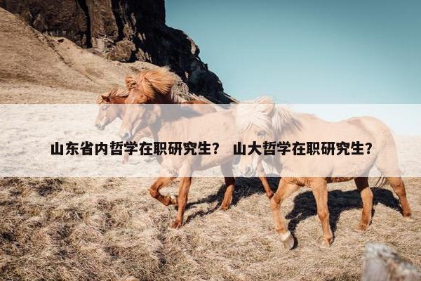 山东省内哲学在职研究生？ 山大哲学在职研究生？
