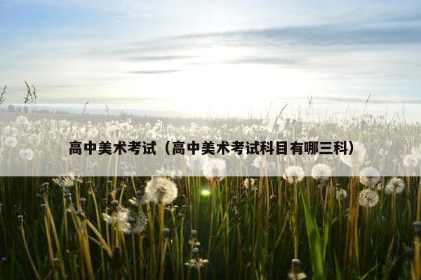 高中美术考试（高中美术考试科目有哪三科）