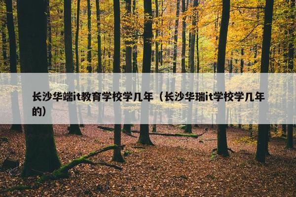 长沙华端it教育学校学几年（长沙华瑞it学校学几年的）