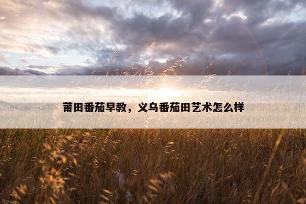 莆田番茄早教，义乌番茄田艺术怎么样