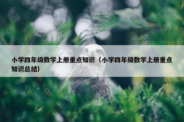 小学四年级数学上册重点知识（小学四年级数学上册重点知识总结）