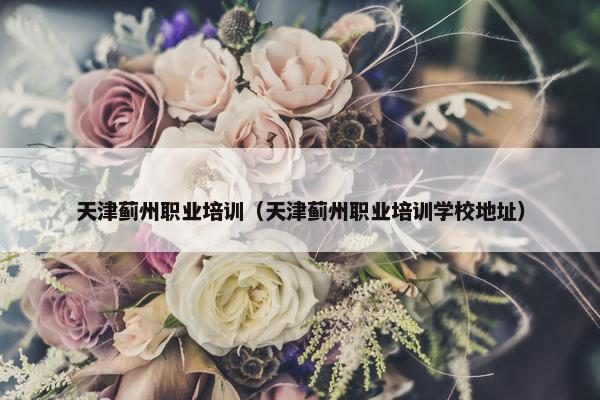天津蓟州职业培训（天津蓟州职业培训学校地址）