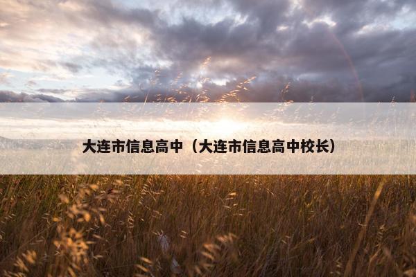 大连市信息高中（大连市信息高中校长）
