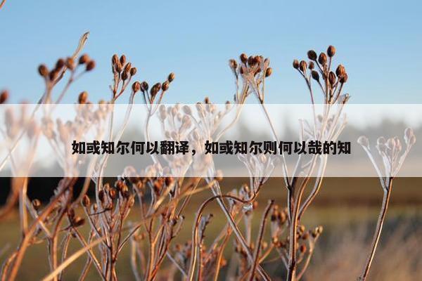 如或知尔何以翻译，如或知尔则何以哉的知