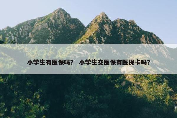 小学生有医保吗？ 小学生交医保有医保卡吗？