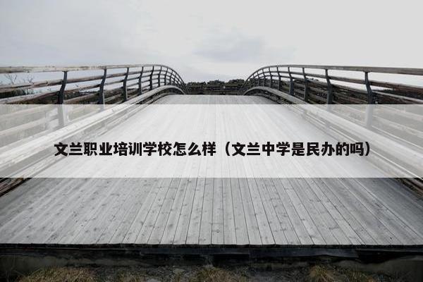 文兰职业培训学校怎么样（文兰中学是民办的吗）