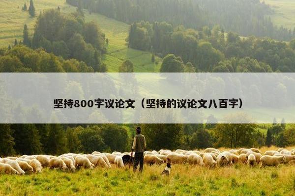 坚持800字议论文（坚持的议论文八百字）