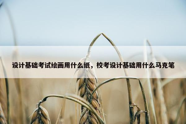 设计基础考试绘画用什么纸，校考设计基础用什么马克笔