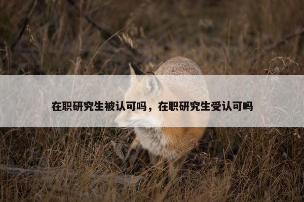 在职研究生被认可吗，在职研究生受认可吗