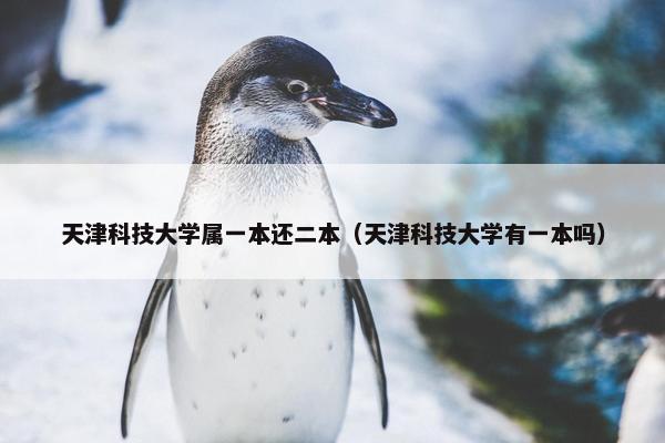 天津科技大学属一本还二本（天津科技大学有一本吗）