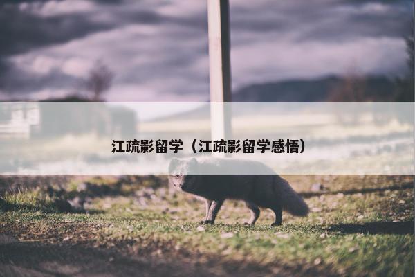 江疏影留学（江疏影留学感悟）