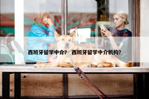 西班牙留学中介？ 西班牙留学中介机构？
