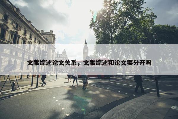 文献综述论文关系，文献综述和论文要分开吗
