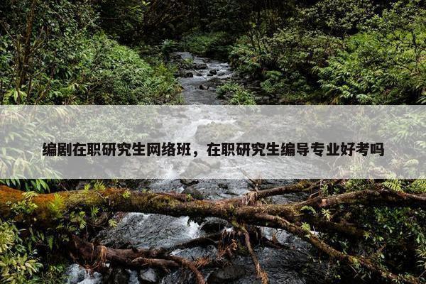 编剧在职研究生网络班，在职研究生编导专业好考吗