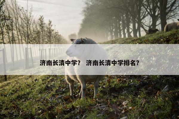 济南长清中学？ 济南长清中学排名？