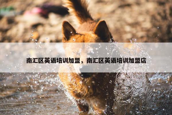 南汇区英语培训加盟，南汇区英语培训加盟店