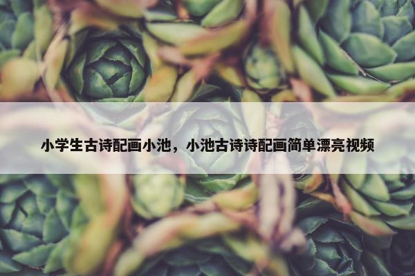 小学生古诗配画小池，小池古诗诗配画简单漂亮视频