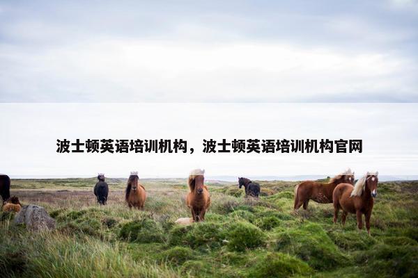 波士顿英语培训机构，波士顿英语培训机构官网
