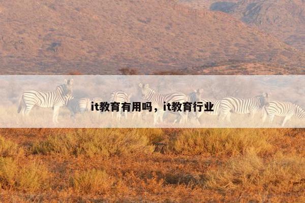it教育有用吗，it教育行业