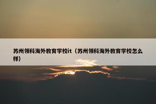 苏州领科海外教育学校it（苏州领科海外教育学校怎么样）
