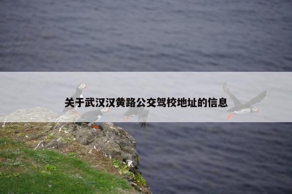 关于武汉汉黄路公交驾校地址的信息