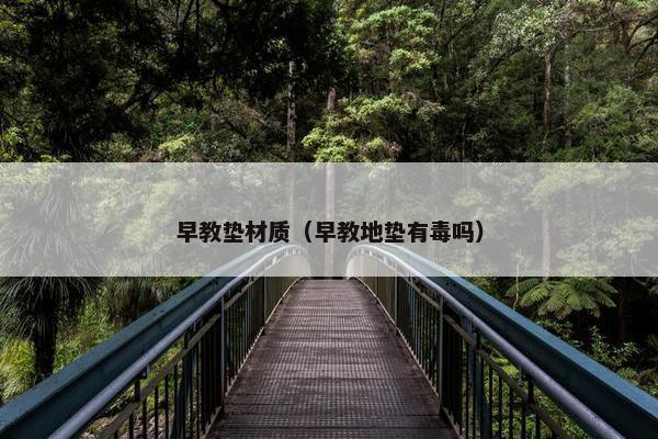 早教垫材质（早教地垫有毒吗）