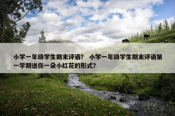小学一年级学生期末评语？ 小学一年级学生期末评语第一学期送你一朵小红花的形式？