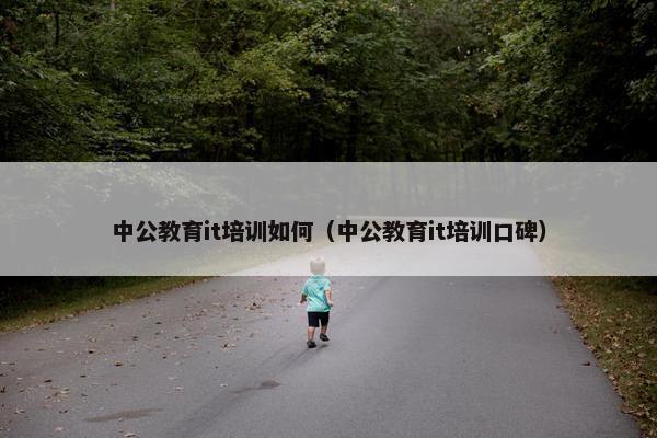 中公教育it培训如何（中公教育it培训口碑）