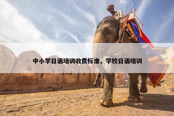 中小学日语培训收费标准，学校日语培训