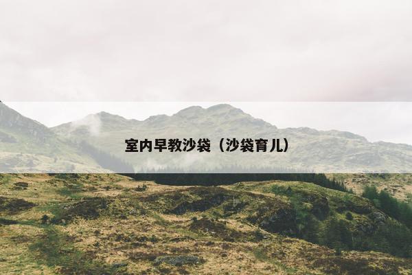 室内早教沙袋（沙袋育儿）