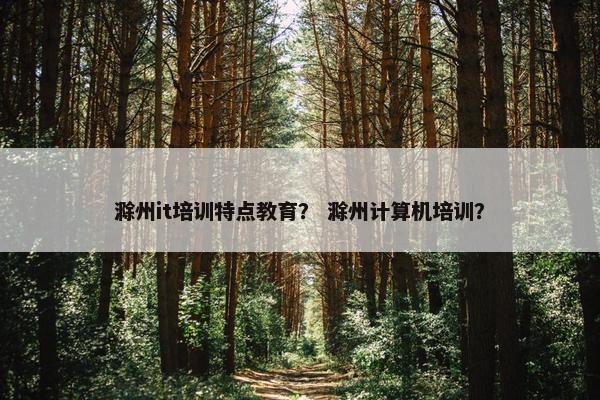 滁州it培训特点教育？ 滁州计算机培训？