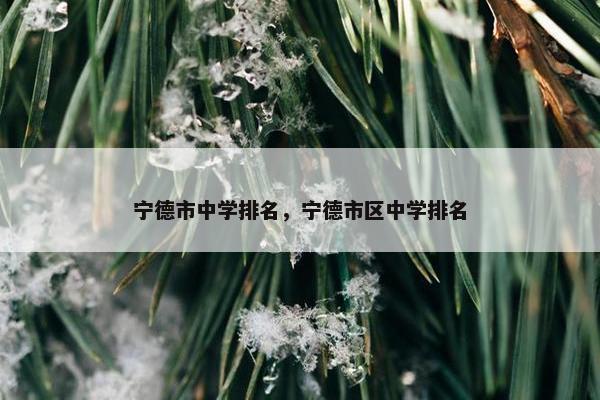 宁德市中学排名，宁德市区中学排名