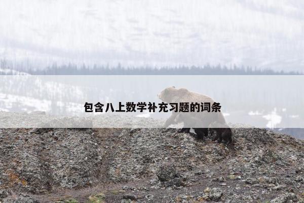 包含八上数学补充习题的词条