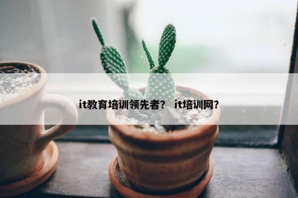 it教育培训领先者？ it培训网？