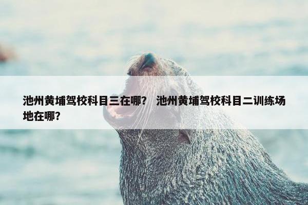 池州黄埔驾校科目三在哪？ 池州黄埔驾校科目二训练场地在哪？