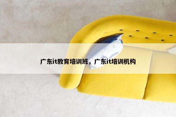 广东it教育培训班，广东it培训机构