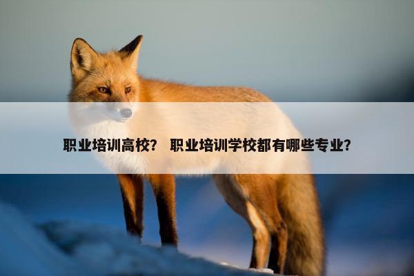 职业培训高校？ 职业培训学校都有哪些专业？