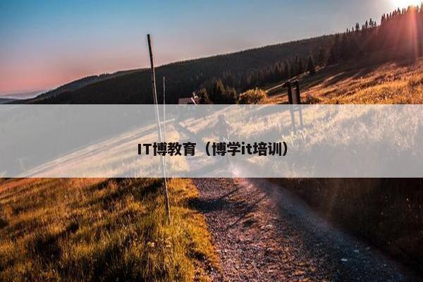 IT博教育（博学it培训）