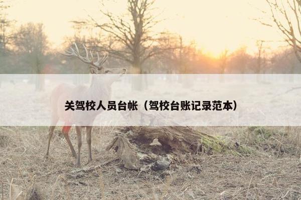 关驾校人员台帐（驾校台账记录范本）