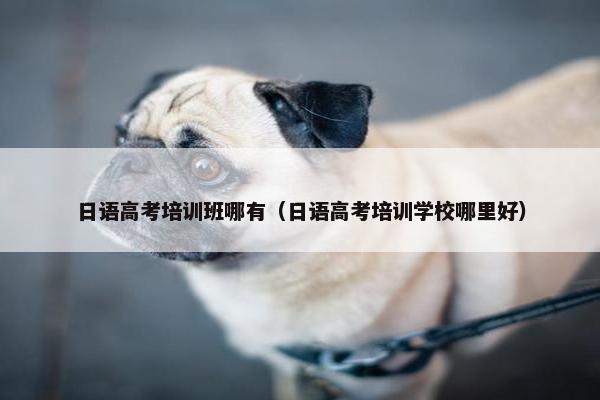 日语高考培训班哪有（日语高考培训学校哪里好）