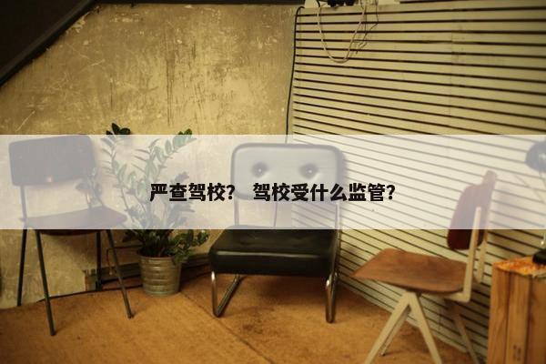 严查驾校？ 驾校受什么监管？