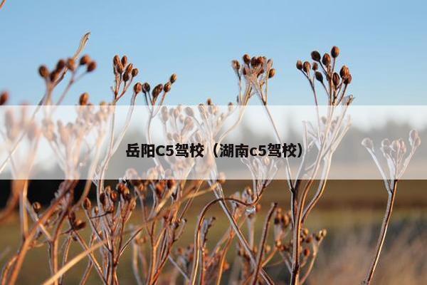 岳阳C5驾校（湖南c5驾校）