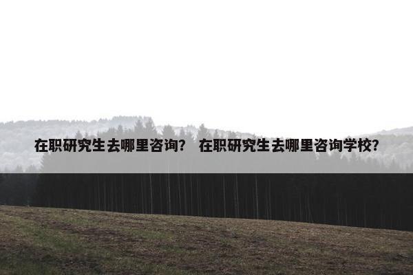在职研究生去哪里咨询？ 在职研究生去哪里咨询学校？