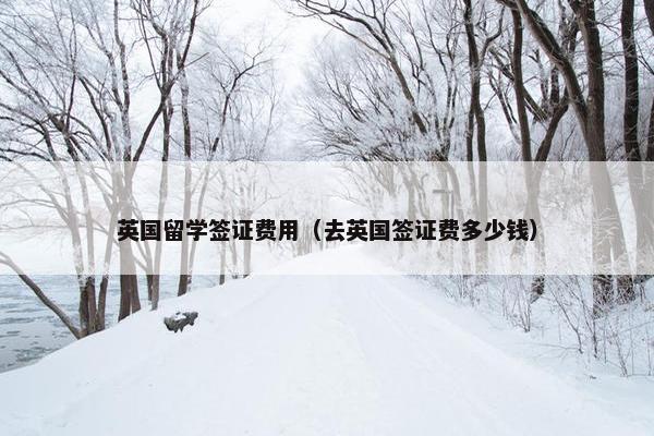 英国留学签证费用（去英国签证费多少钱）