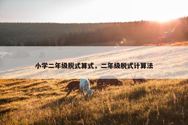 小学二年级脱式算式，二年级脱式计算法
