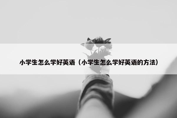 小学生怎么学好英语（小学生怎么学好英语的方法）