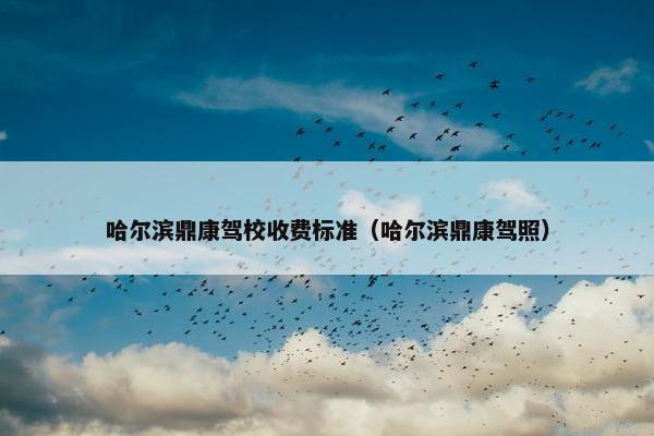哈尔滨鼎康驾校收费标准（哈尔滨鼎康驾照）