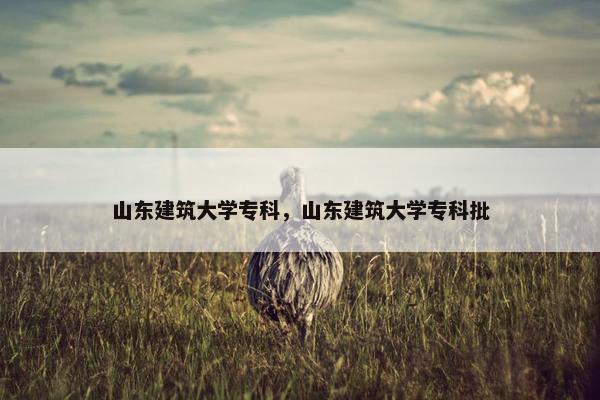 山东建筑大学专科，山东建筑大学专科批