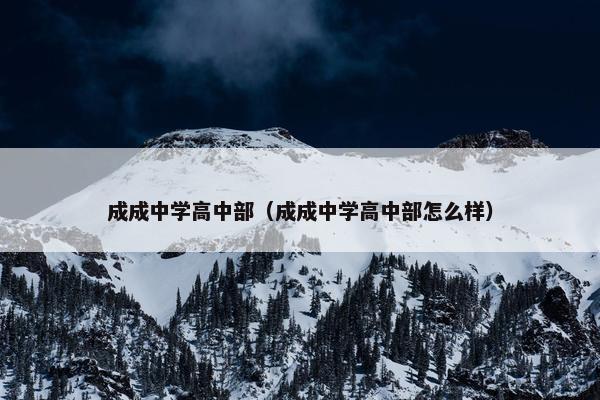 成成中学高中部（成成中学高中部怎么样）